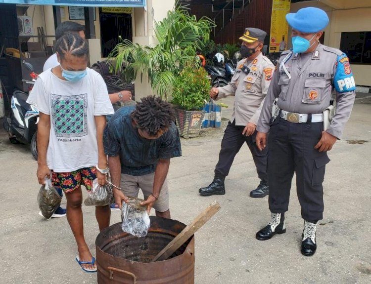 Dua Orang Pemilik Ganja Sebanyak 3,7 Kg Dimusnakan Sat Narkoba Polresta