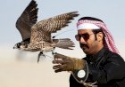Pengkhianat Burung