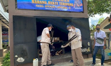 100 KG Teripang Ilegal Dimusnahkan Lantamal XI, Diduga Selundupan Dari PNG