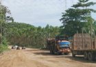IKN Pasakbumi