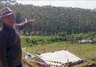 IKN Mendongak
