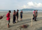 Penemuan Jasad Bayi Perempuan Gegerkan Warga Pantai Holtekamp
