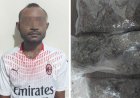 Miliki Ganja, Calon Penumpang KM. Labobar Ditangkap Polisi