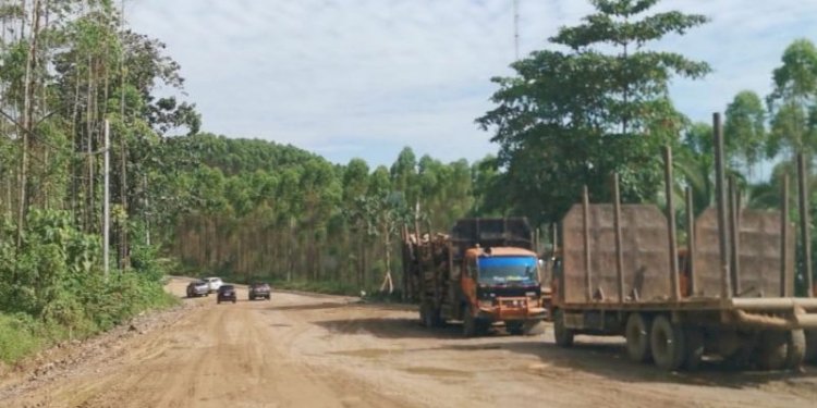 Aktifitas di lahan sekitar lahan IKN Nusantara/Ist