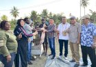 Tepati Janjinya Saat Reses, Fauzun Nihayah Serahkan Bantuan Ketinting  Hingga Hewan Ternak Ke Masyarakat