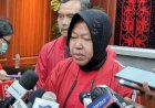 Risma Manut Keputusan Partai Jika Diusung Cagub DKI Jakarta