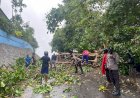 Bersinergi Bersama Warga Bersihkan Pohon Tumbang  Yang Menutupi Badan Jalan