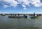 2 Hari Pencarian,  Warga di Terkam Buaya, Saat Dibelah Tersisah Potongan Kepala Manusia