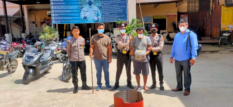 Pemusnahan Barang Bukti Jenis Ganja Di Saksikan I Merauke