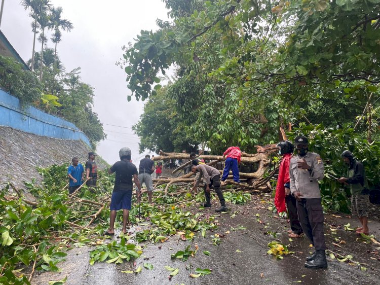 Setuasi personil Polsek Jayapura Utara bersama warga membersihkan pohon tumbang