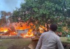 Kerugian Material Diperkirakan  Ratusan Juta Rupiah,l, Satu Rumah Terbakar Beserta Mobil dan Motor di Waena