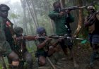 KKB Teror Warga di Nduga, 10 orang meninggal dunia  dan  2 orang luka-luka