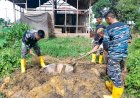 Lantamal XI Merauke Kembali Bedah Rumah Orang Asli Papua (OAP) di Kampung Kumbe