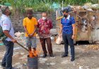 BB 172,06 Gram Narkotika, di Musnakah Penyidik Polresta Jayapura Kota Milik Tersangka RW