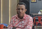 Embrio Lahirnya Provinsi Papua Selatan, Dalam Kacamata Thomas E. Safanpo