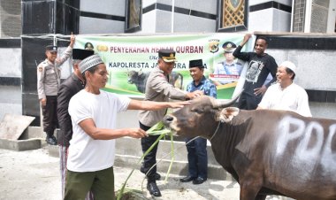 Polresta Korbankan Empat Ekor Sapi di Perayaan Idul Adha Tahun Ini