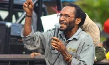 Pemerintah Indonesia Segera Mencari Solusi Alternatif Penyelesaian Akar Konflik Di Papua 