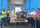 Kerjasama dengan AVSEC, Karantina Merauke Berhasil Gagalkan Pengiriman Awetan Burung Cenderawasih