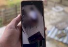 SMK Negeri 1 Merauke Bantah Jika Video Asusila Yang Beredar Adalah Muridnya