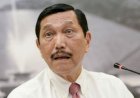 Luhut Pandjaitan: Minggu Depan, Presiden Jokowi Umumkan...
