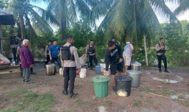 Polres Merauke Kembali Razia Dan Grebek Pabrik Miras Ilegal Tradisional Jenis Sopi