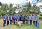 Pengabdian Masyarakat Di Kampung Muram Sari, Dosen Agribisnis Unmus Berikan Bantuan Kambing