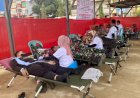 HUT Palang Merah Indonesia Ke-77, PMI Cabang Merauke Laksanakan Donor Darah