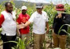 BIN dan Papua Muda Inspiratif Libatkan 120 Orang untuk Kelola Lahan Jagung di Tabrauw