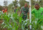 Pasi Ter Kodim 1711/BVD Berikan Materi Pembuatan Alat Inovasi Tabur dan Kocor Pupuk Pertanian