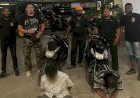 Prioritaskan Pengungkapan Curanmor, Tim Resmob Numbay Bekuk Satu Pelaku Pencurian dan Satu Penadah Beserta BB