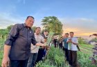 Sulaeman L Hamzah Janji Sejahterakan Petani Bawang Merah Merauke