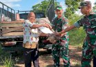 Dandim Boven Digoel Terima Kunjungan Dan Penyerahan Itik Air dari Dinas TPHPP