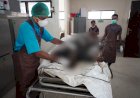 Penemuan Jasad Tanpa Identitas di Jalan Holtekamp KM10, Ini Ciri-cirinya