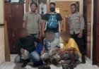 Kedapatan Membawa Ganja, 3 Calon Penumpang Kapal Ciremai di Bekuk Polisi