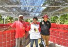 Papua Muda Inspiratif Bantu Warga Dapat Berpenghasilan yang Layak