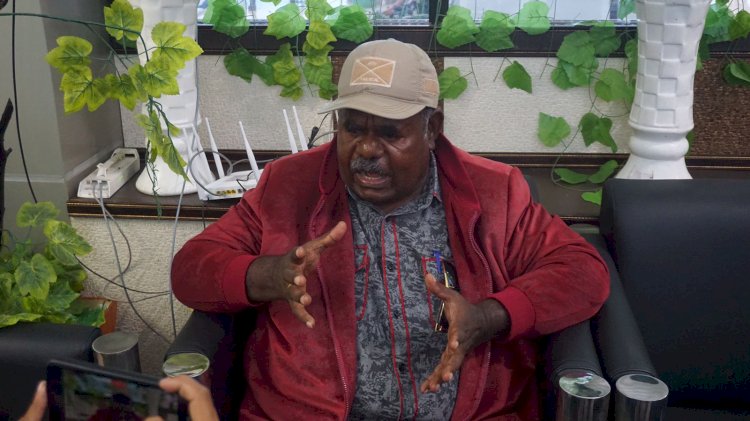 Bupati Asmat, Elisa Kambu