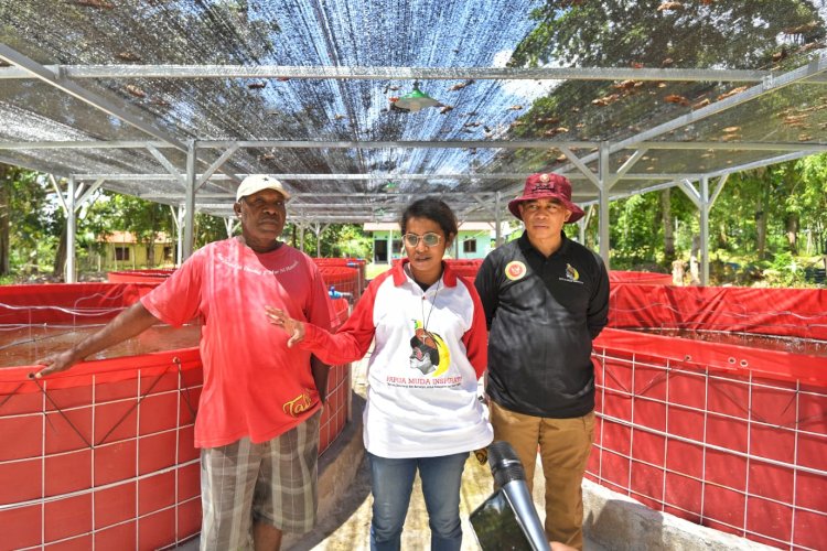 Papua Muda Inspiratif (PMI)  bersama-sama ke lokasi budidaya mereka di Kampung Nolokla.   Deputi IV Bidang Intelijen Ekonomi BIN, Made Kartikajaya ya kunjungiu