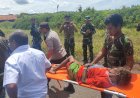 Aparat Gabungan TNI-Pori Kembali Evakuasi Warga Imbas Teror KKB di Paro, Kabupaten Nduga 