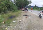 Tabrakan Berujung Maut di Jalan Raya Holtekamp, Satu Pengendara Motor Meregang Nyawa di TKP