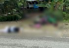 Laka Lantas Di Jalan Trans Abepura - Keerom, Satu Orang Meninggal Dunia