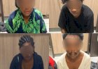 Polisi Bekuk 4 Pelaku Pembawa Ganja  di Pelabuhan Jayapura di Antaranya 3 Wanita