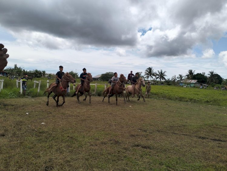 Pacuan kuda dalam rangka HUT Merauke 121 Tahun/ Net