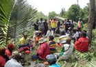 bp Rehabilitasi 1.320 ha Hutan Bintuni, menuju target Rehabilitasi  l 7.000 ha di Papua Barat
