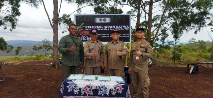 Karantina Pertanian Jayapura lakukan pelepasliaran 91 ekor satwa liar asal Papua di Hutan sekitar alam pegunungan Cycloop 