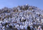 Jemaah Haji Mulai Berangkat Bertahap ke Arafah