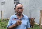 PT. SMJ (Sumber Mandiri Jaya) Menyalurkan 1 Ekor Sapi Untuk Di Qurbankan