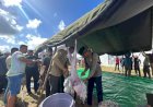 Lantamal XI Sembelih 20 Ekor Hewan Quban Untuk Dibagikan Pada Korban Kebakaran di Distrik Ilwayab