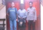 Polisi Gagalkan Lagi Penyelundupan Ganja Melalui Pelabuhan Jayapura