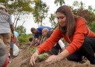 Ny. Stefanie Gomar Sebut Manfaatkan Pekarangan Rumah Dengan Menanam Sayur Membantu Perekonomian Masyarakat