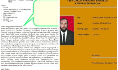 Diduga Anggota Separatis Jadi Komisioner Bawaslu di Papua